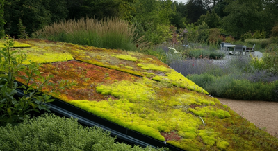 Hoe je wateroverlast voorkomt en water vasthoudt met een groene tuin​