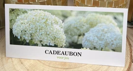 Cadeaubon